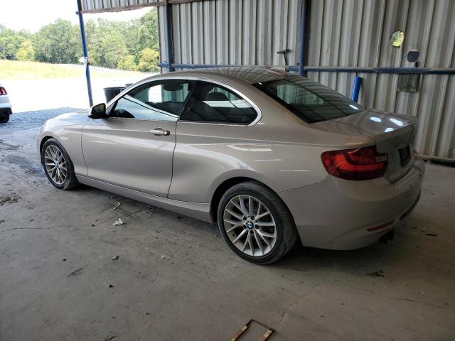 WBA1G9C53GV599563 BMW 228 Xi Sulev