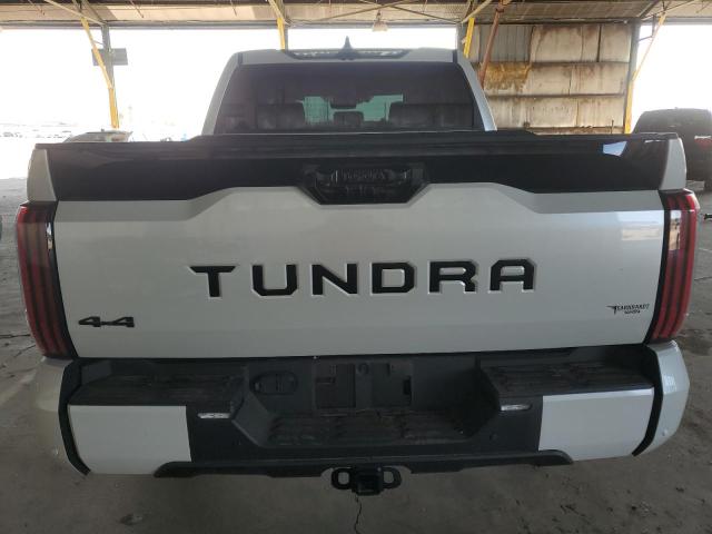 5TFNA5DB1RX143491 Toyota TUNDRA CRE
