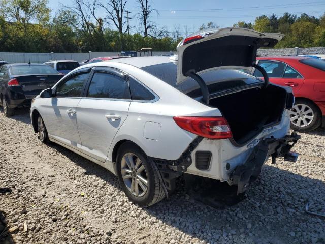 5NPE24AF5GH377513 Hyundai SONATA SE