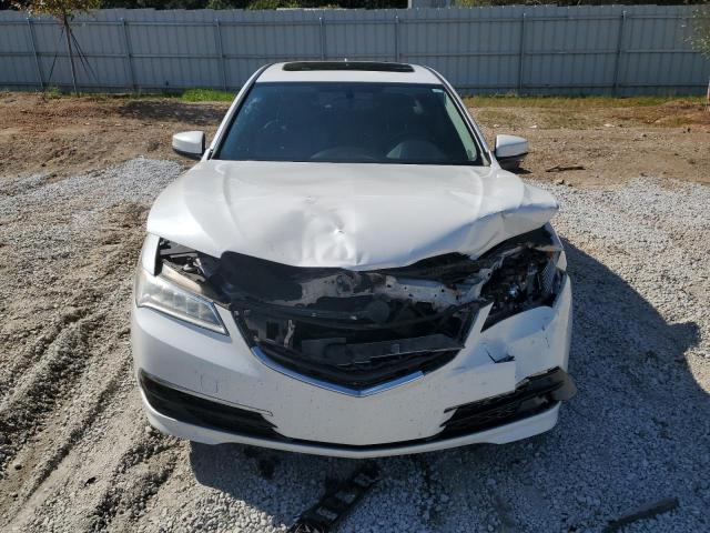 19UUB1F3XHA008603 Acura TLX