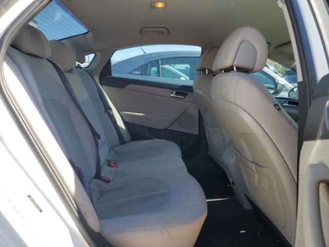 5NPE24AF5GH377513 Hyundai SONATA SE