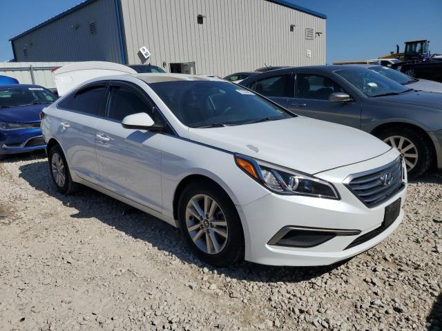 5NPE24AF5GH377513 Hyundai SONATA SE