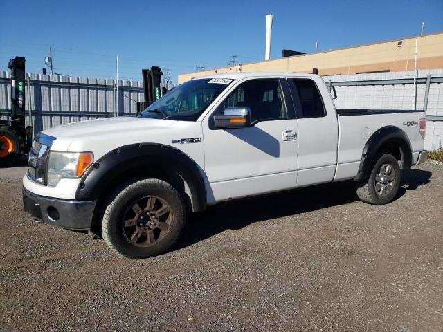 Auction sale of the 2009 Ford F150 Super Cab, vin: 1FTPX14V19FA16787, lot number: 72583193