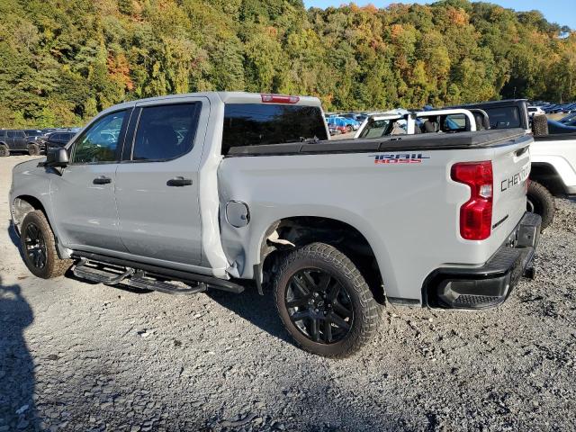 3GCUDCE86RG154520 Chevrolet Silverado