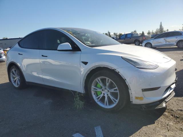 5YJYGAEE6MF216855 Tesla Model Y