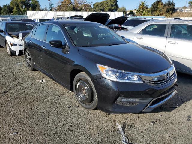 1HGCR2F19HA079562 Honda Accord Sport Special Edition