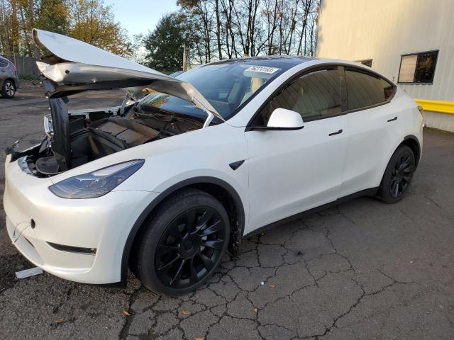 Продажа на аукционе авто 2023 Tesla Model Y, vin: 7SAYGDEE0PF814285, номер лота: 76274183