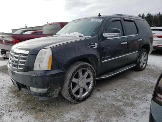 Auction sale of the 2011 Cadillac Escalade Luxury, vin: 1GYS4BEF7BR346464, lot number: 76807913