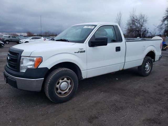 Auction sale of the 2013 Ford F150, vin: 1FTMF1CM1DKD75748, lot number: 77087193