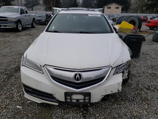 19UUB1F38FA025526 Acura TLX
