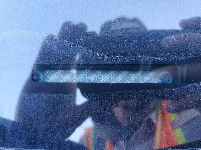 5FNYF6H09GB116916 Honda Pilot Elite
