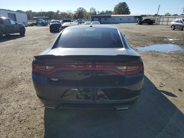2C3CDXBG2LH248369 Dodge Charger Sxt