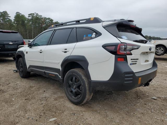 4S4BTGUD2N3189077 Subaru Outback Wilderness