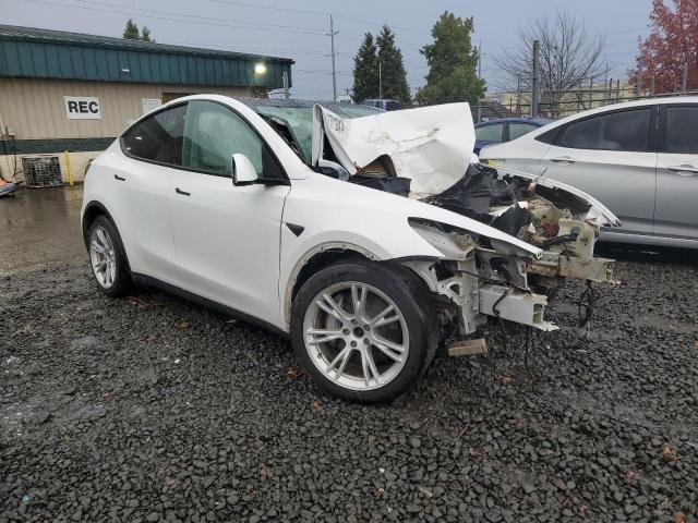 5YJYGDEE1MF199495 Tesla Model Y