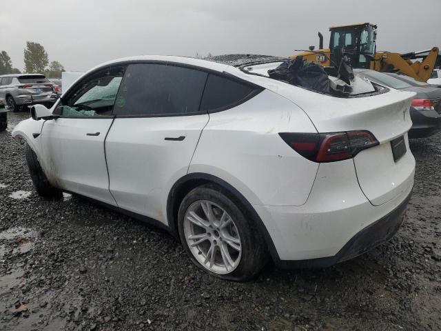 5YJYGDEE1MF199495 Tesla Model Y