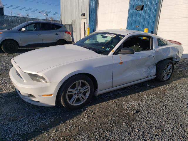 Auction sale of the 2014 Ford Mustang, vin: 1ZVBP8AM5E5223131, lot number: 80471613