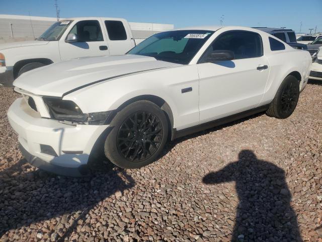 Auction sale of the 2010 Ford Mustang, vin: 1ZVBP8ANXA5173264, lot number: 79583813