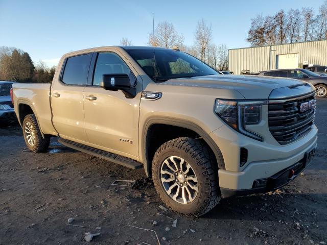 3GTUUEE80PG141707 GMC Sierra K1500 At4