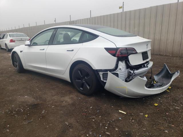 5YJ3E1EA0PF572445 Tesla MODEL 3