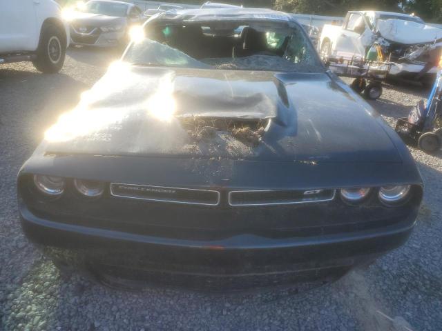 2C3CDZJG1PH507291 Dodge Challenger Gt